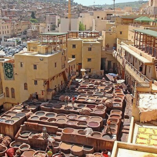 Full-Day Tour Fes Medina